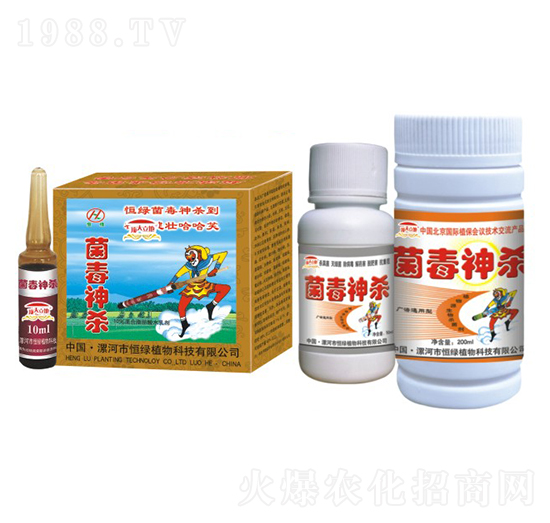 ������-�������-��Gֲ��