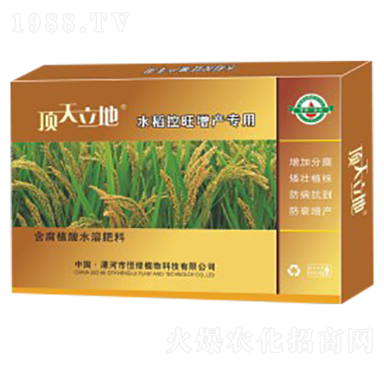 水稻控旺增產(chǎn)專用含腐植酸水溶肥料-頂天立地-恒綠植物