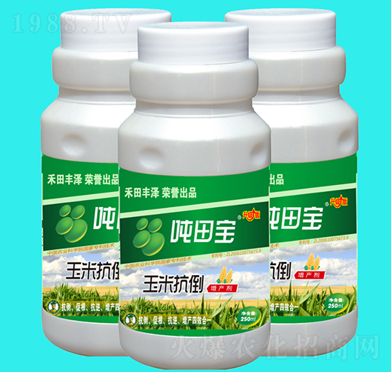 ���׿������a(ch��n)��-���-�����S��