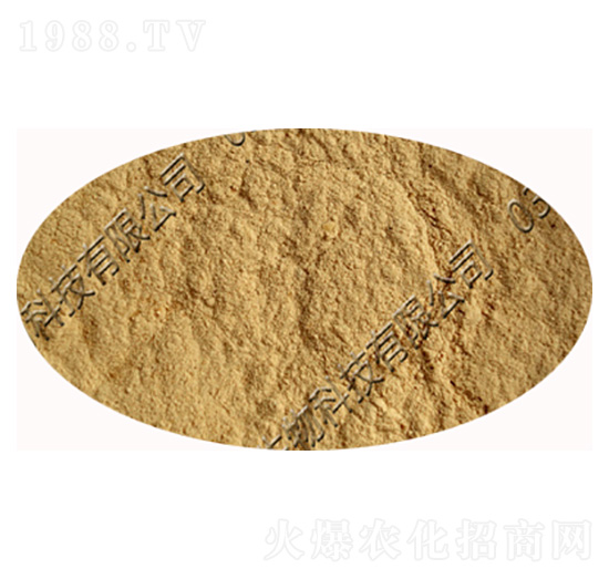 ���S�Bù��-�������