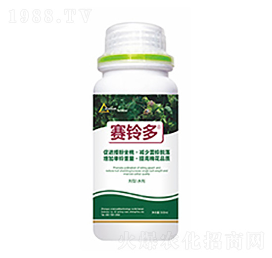 ِ⏶�-�����Ƽ�