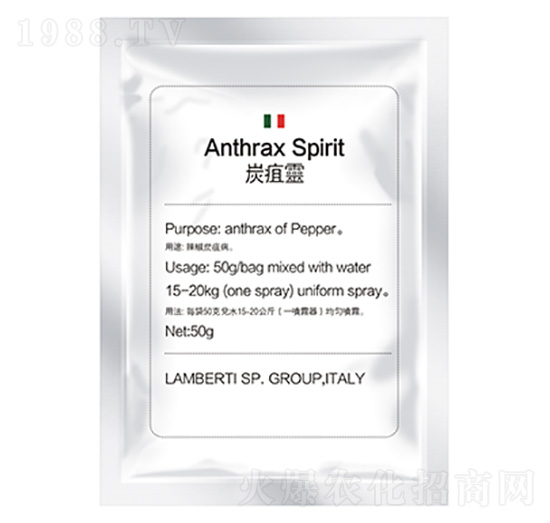 ̿���`-�����Ƽ�