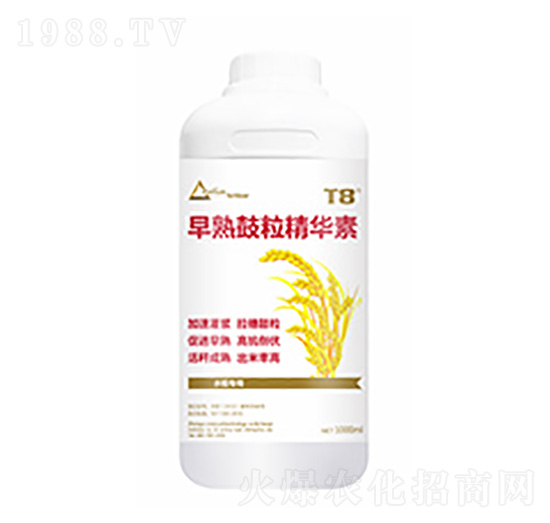 ����������A��-�����Ƽ�