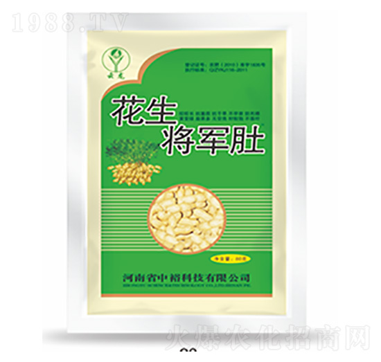 ������܊��-�����Ƽ�