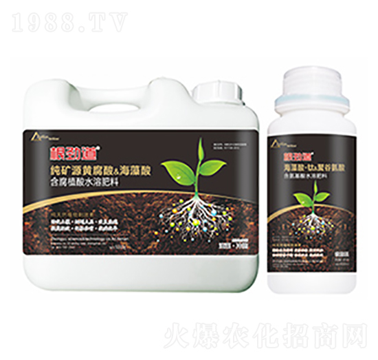 ���ŵ�-�����Ƽ�