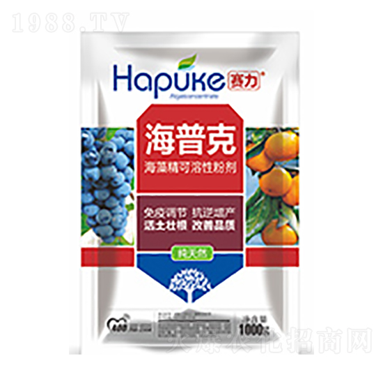 ِ�����տ�-�����Ƽ�