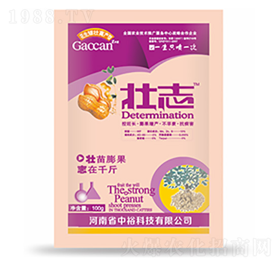 ��־-�����Ƽ�