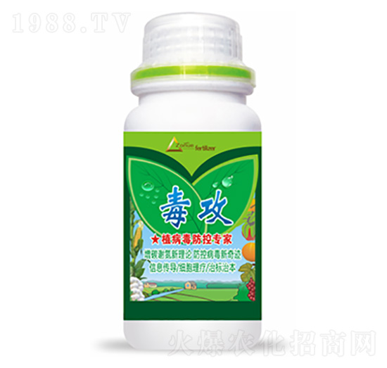 ����-�����Ƽ�