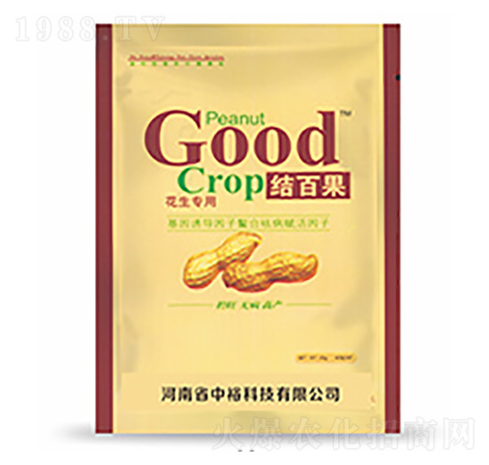 �Y(ji��)�ٹ�-�����Ƽ�