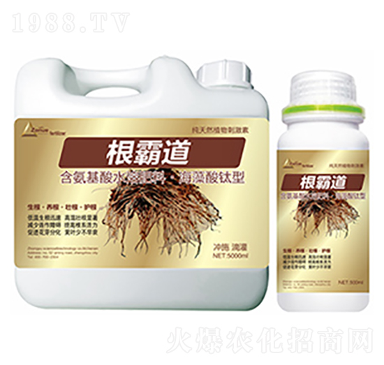 ���Ե�-��ԣ�Ƽ�