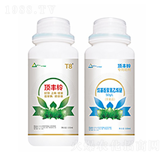 ��S�-�����Ƽ�