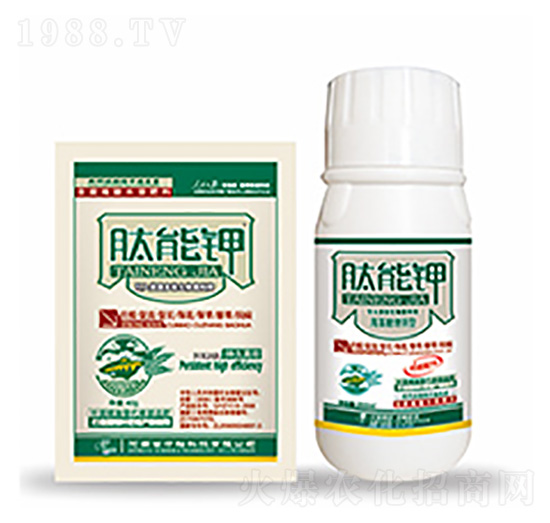 �����-�����Ƽ�