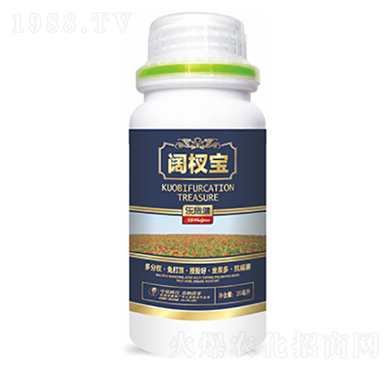 �辌�-�����Ƽ�