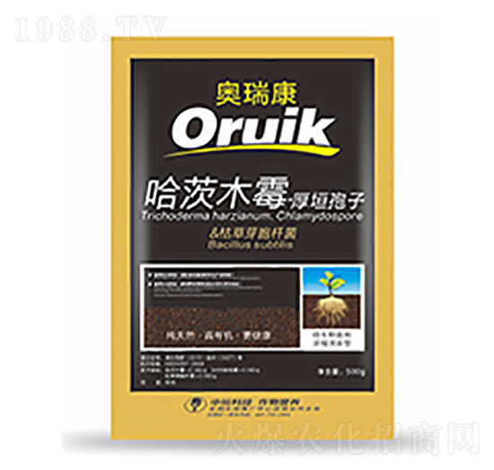 �W��-�����Ƽ�