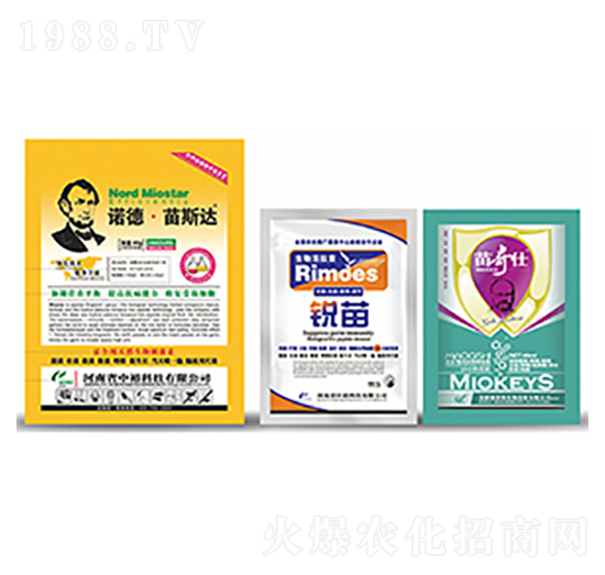 �Z����˹�_-��ԣ�Ƽ�