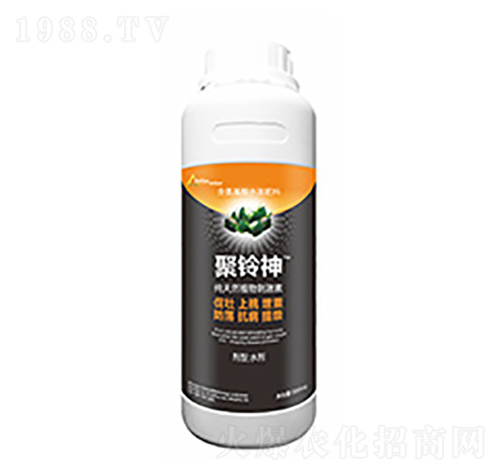 �����-�����Ƽ�