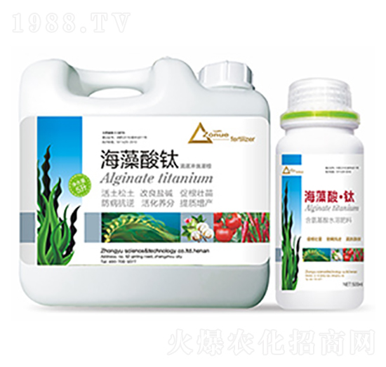 �������-�����Ƽ�