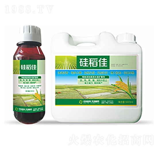 �赾��-�����Ƽ�