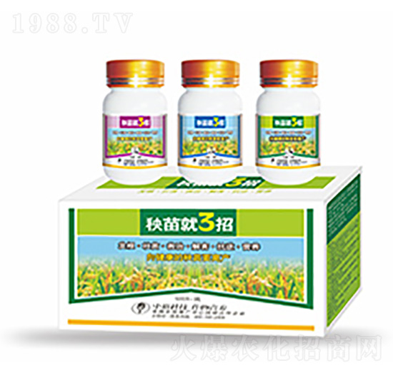 �����3��-�����Ƽ�