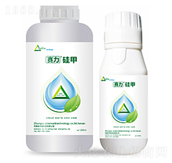 ِ�����-�����Ƽ�