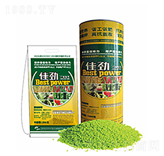 �ф�-�����Ƽ�