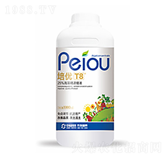 ����(y��u)T8-�����Ƽ�