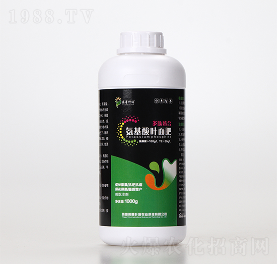 �������ϰ������~���-Ӣ���~��