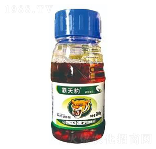 20%���@�-���챪-ϲ�S��