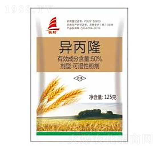 50%����¡-ϲ�S��