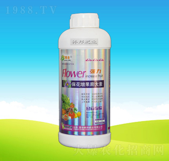 �������������-�n��ʘI(y��)