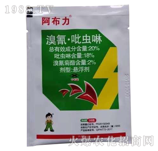 20�����衤���x��-������-С����