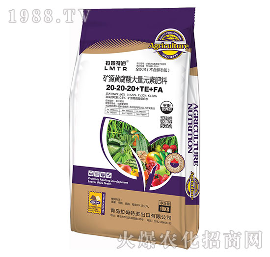 ƽ��I(y��ng)�B(y��ng)�͵VԴ�S�������Ԫ�ط���20-20-20+TE+FA-��ķ�؝�(r��n)