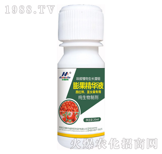 �������Ƅ�-���t����ʥŮ������-��ķ˹��