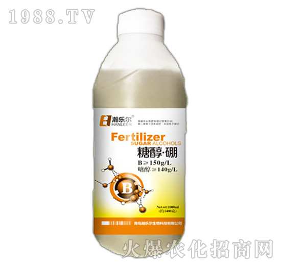 �Ǵ�����-嫘���