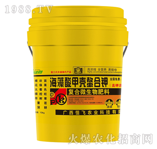 ������ך��������-���w�r(n��ng)�I(y��)