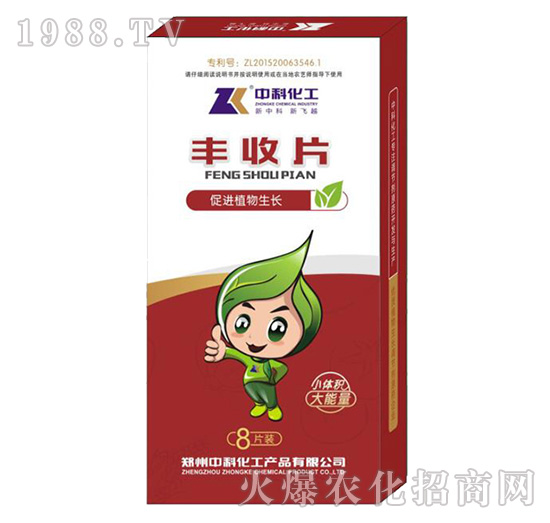 �S��Ƭ-�пƻ���