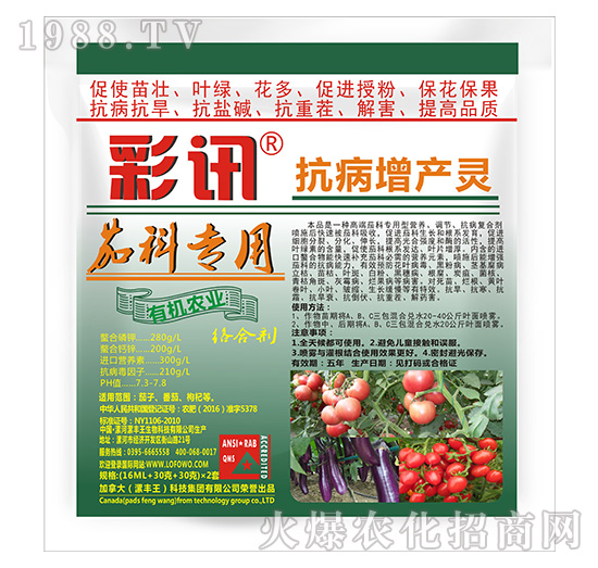 �ѿƌ��ÿ������a�`-��Ӎ-���S��