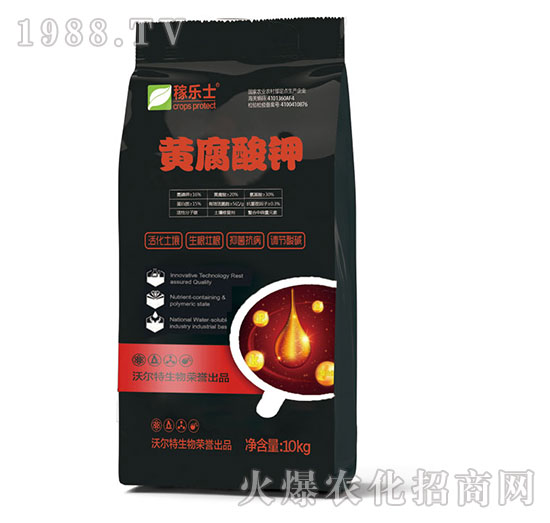 �S�����-�ژ�ʿ