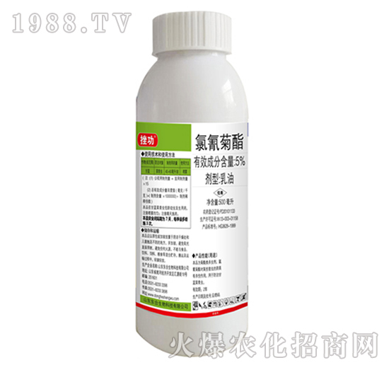 5%�������-�칦-�|������