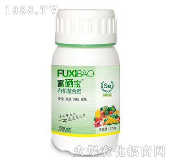 �ЙC���Ϸ�-������-���A����