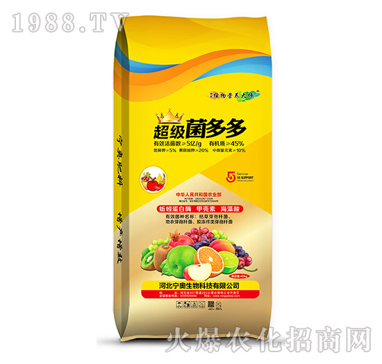 ���������-���W����