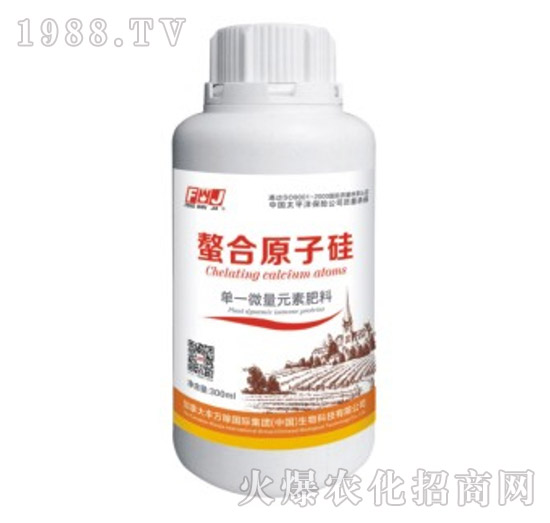 ��һ΢��Ԫ�ط���-����ԭ�ӹ�-�S�f(w��n)��