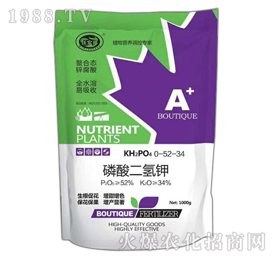 ��������-�ֺ��