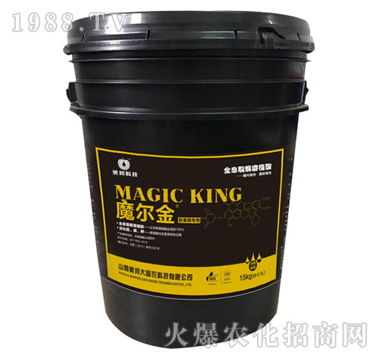 ħ����-����Ƽ�