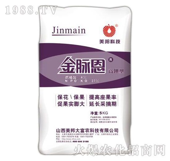 ���}�������-����Ƽ�