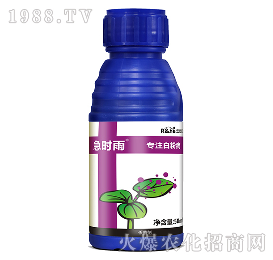 白粉病專用殺菌劑-急時(shí)雨-中海潤(rùn)禾