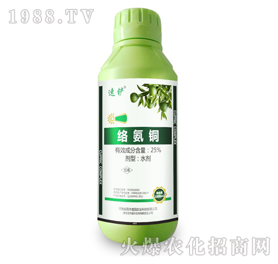 25%�j���~-���S���@