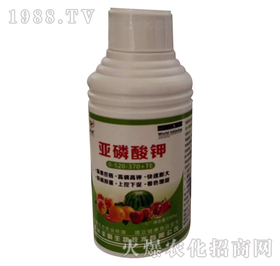 �������0-520-370+TE-�S������