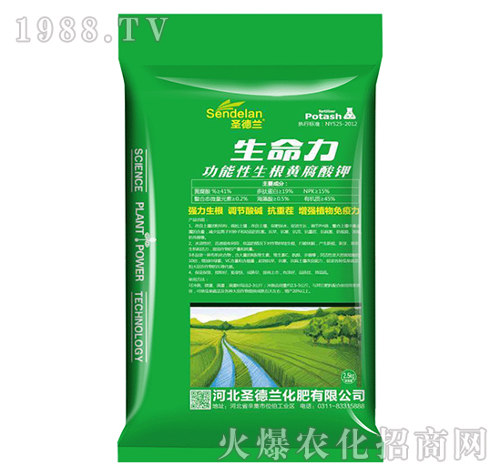 �����������S�����-������-ʥ���m