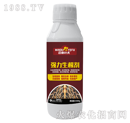 ��(qi��ng)��������-�~���~��